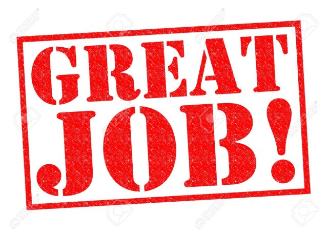 Red, bold, capitalised text that says GREAT JOB! inside a red rectangular border on a white background.